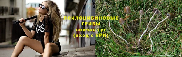 сатива Бронницы